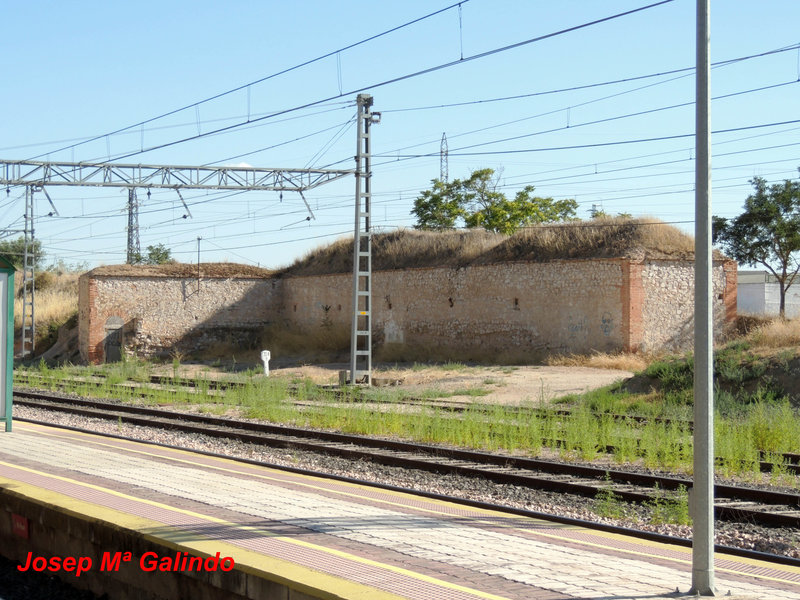 DSCN8695.jpg
