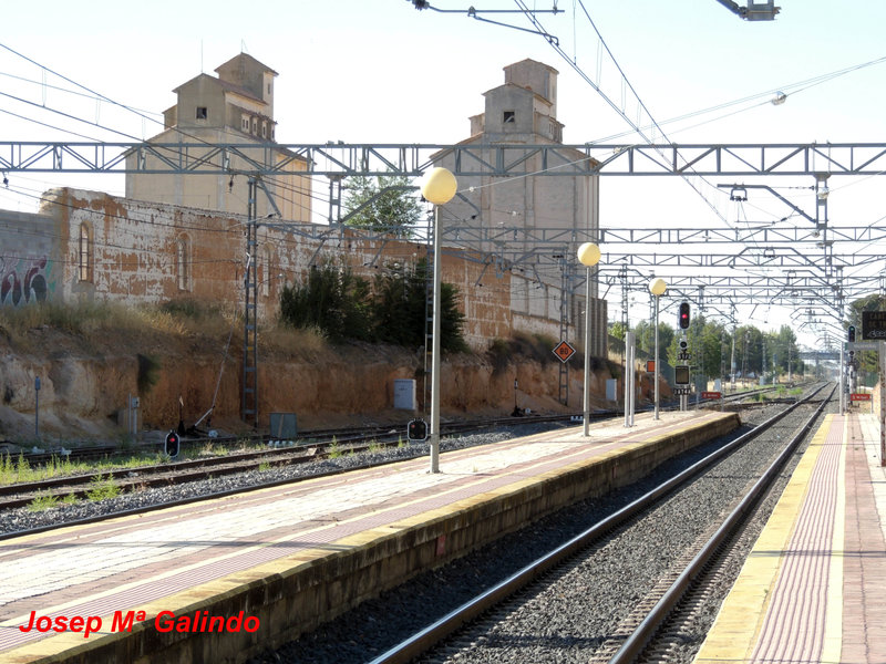 DSCN8696.jpg