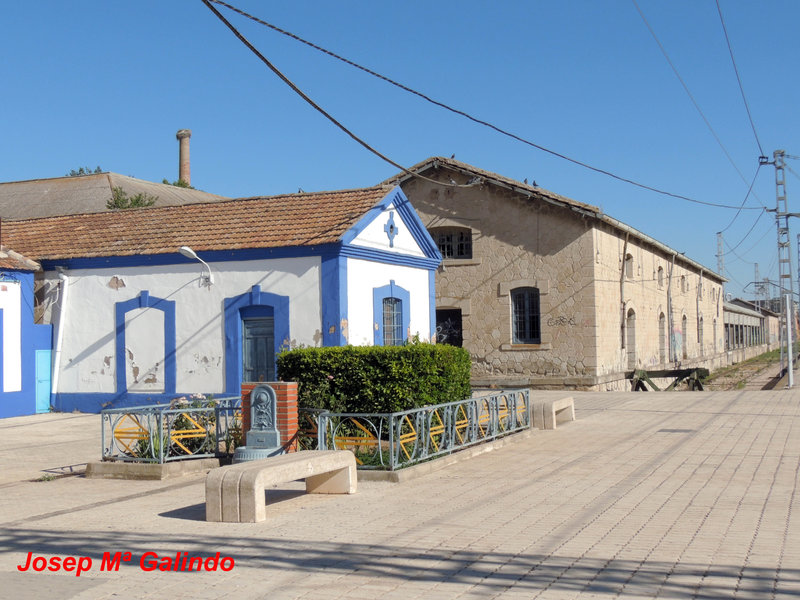 DSCN8699.jpg