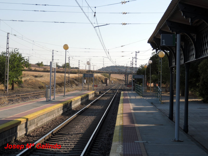 DSCN8746.jpg