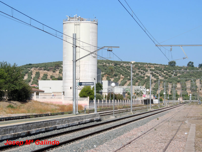 DSCN8774.jpg