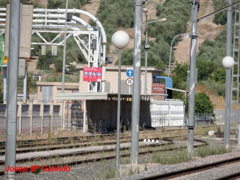DSCN8776.jpg