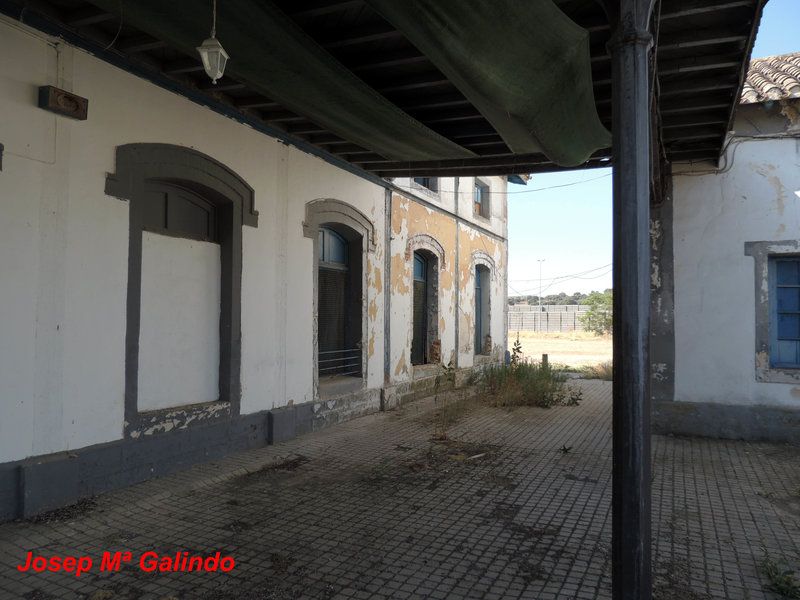 DSCN8780.jpg