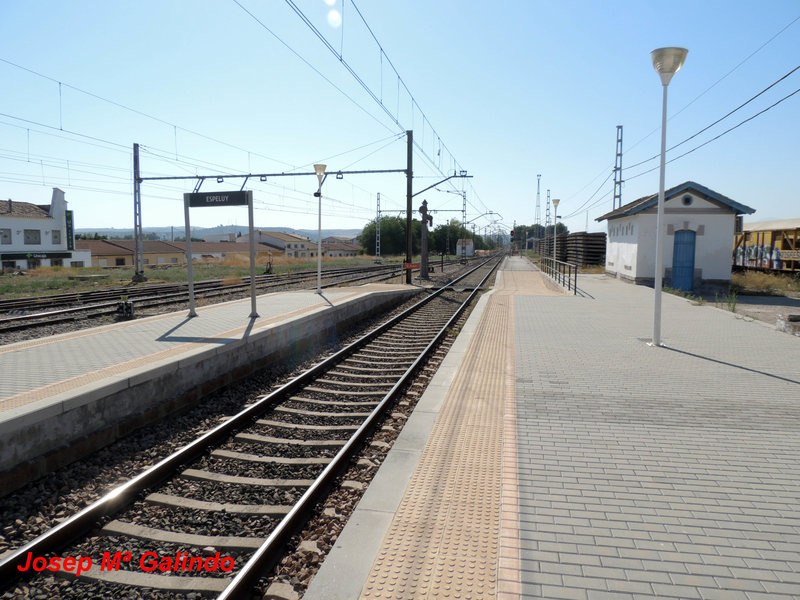DSCN8781.jpg