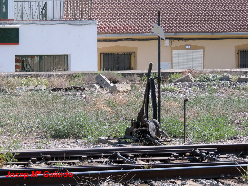 DSCN8786.jpg