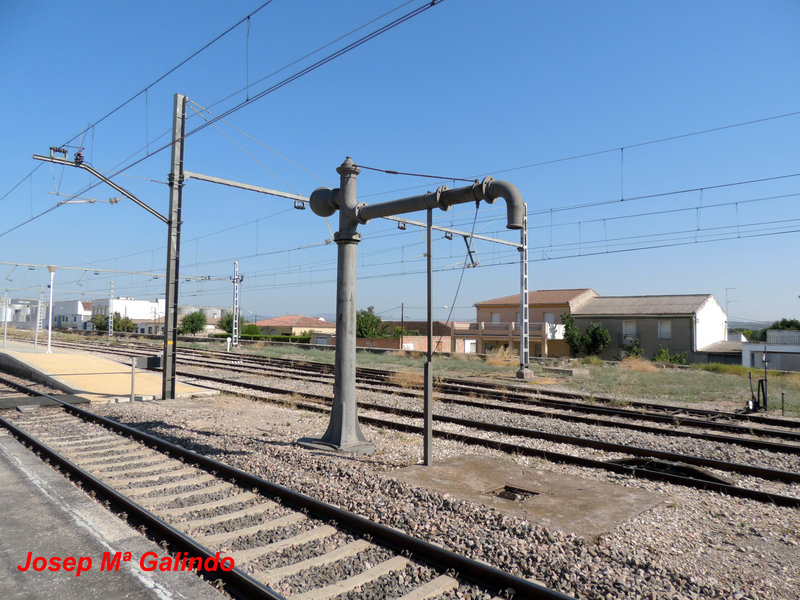 DSCN8787.jpg