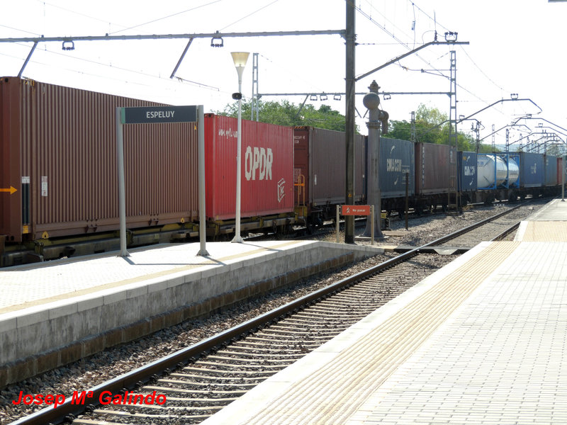 DSCN8807.jpg