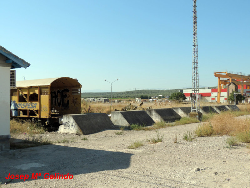 DSCN8782.jpg