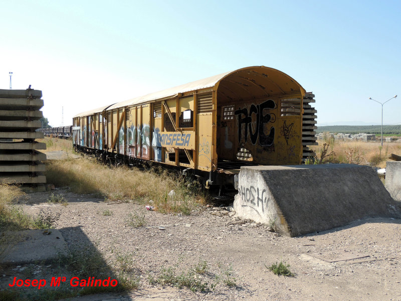 DSCN8784.jpg