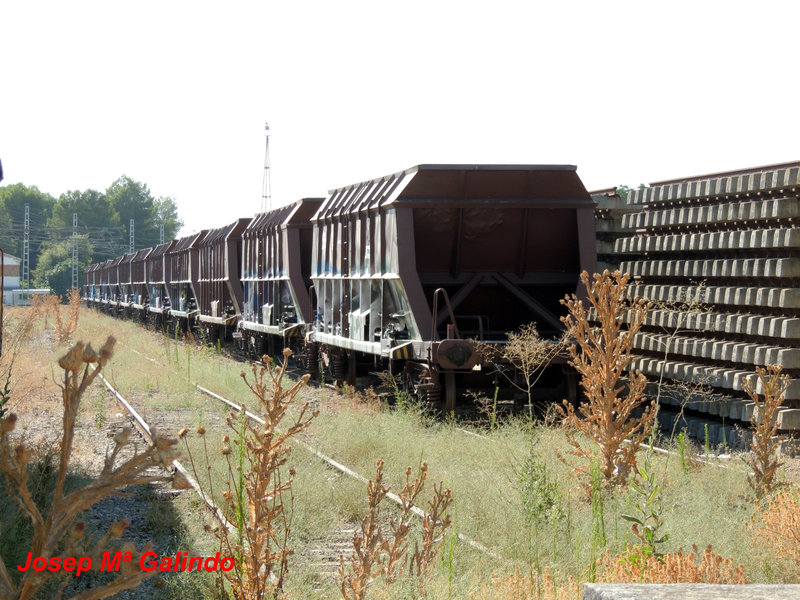 DSCN8785.jpg