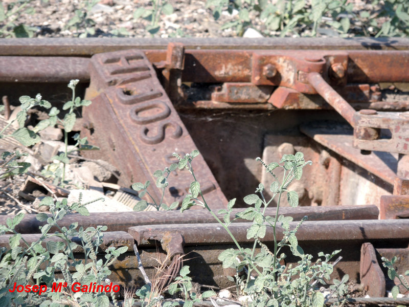 DSCN8797.jpg