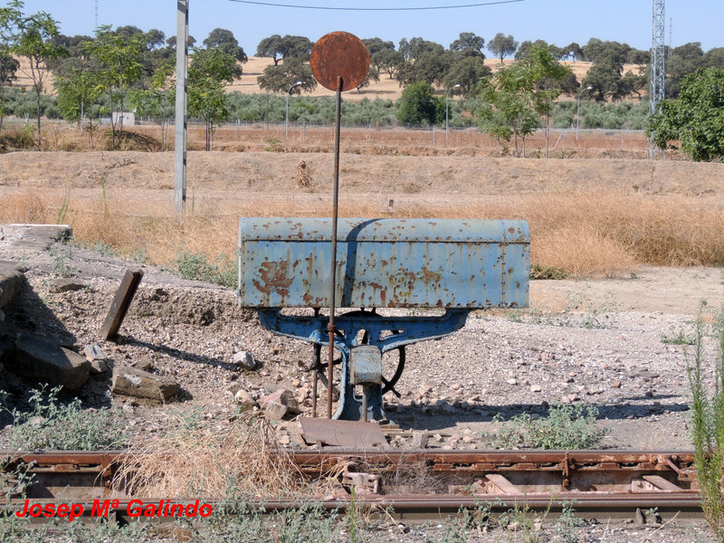 DSCN8798.jpg