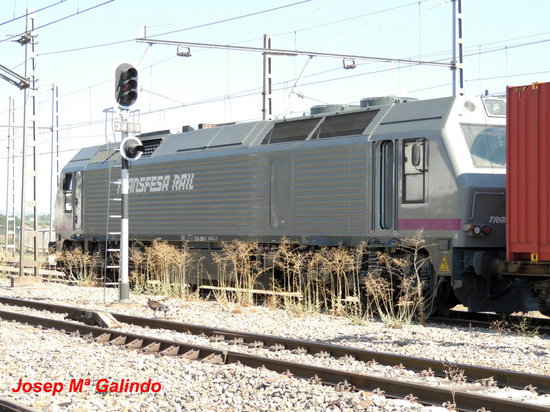 DSCN8818.jpg