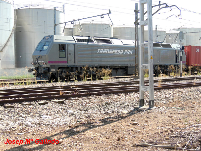DSCN8820.jpg