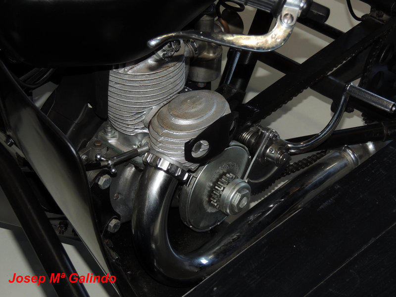 DSCN7323.jpg