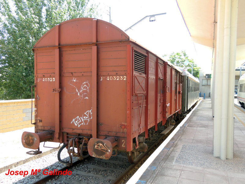 DSCN8838.jpg
