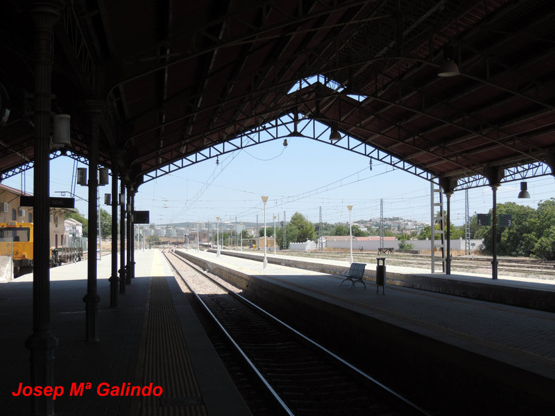 DSCN8869.jpg