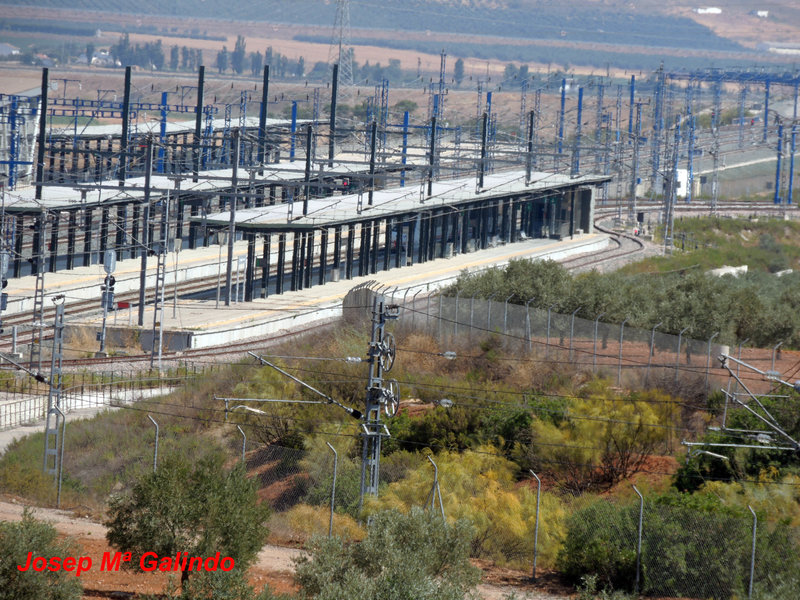 DSCN8930.jpg