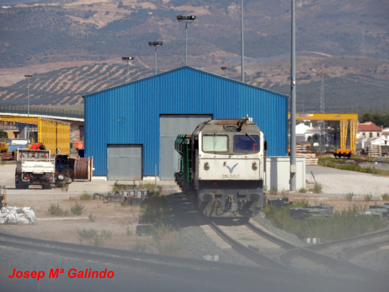 DSCN8935.jpg