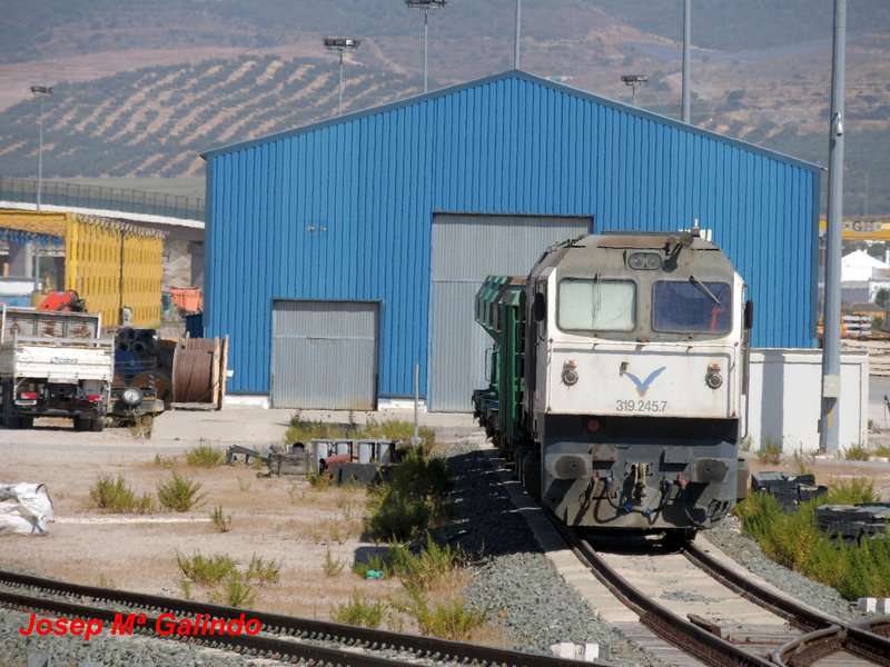 DSCN8937.jpg