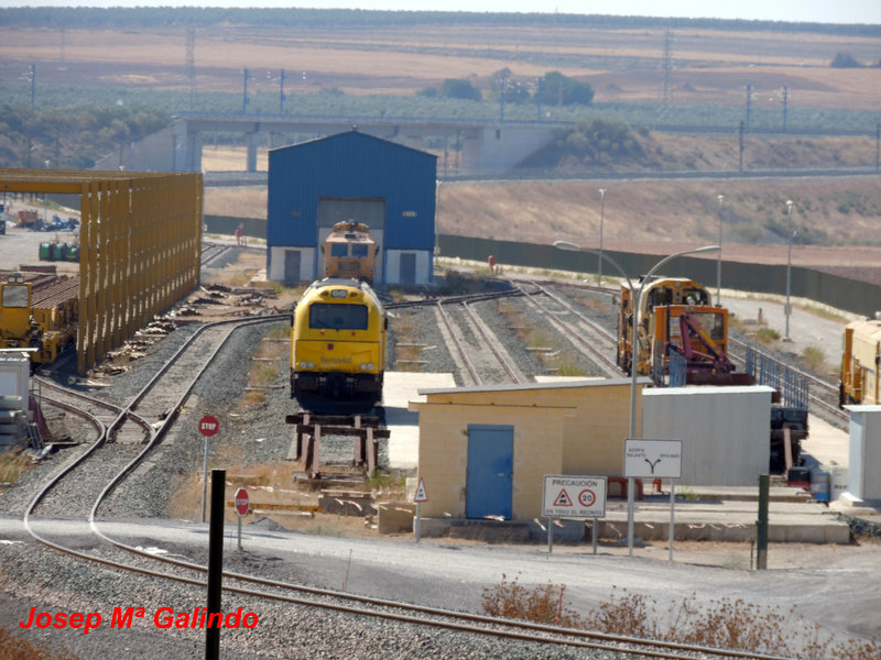 DSCN8950.jpg