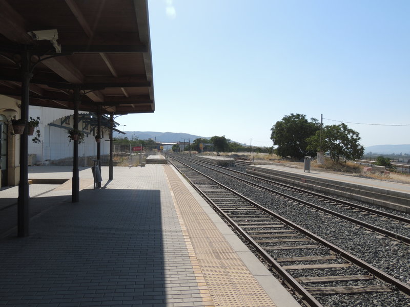 DSCN8976.JPG