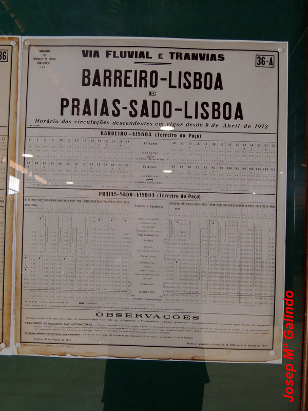 DSCN7367.jpg