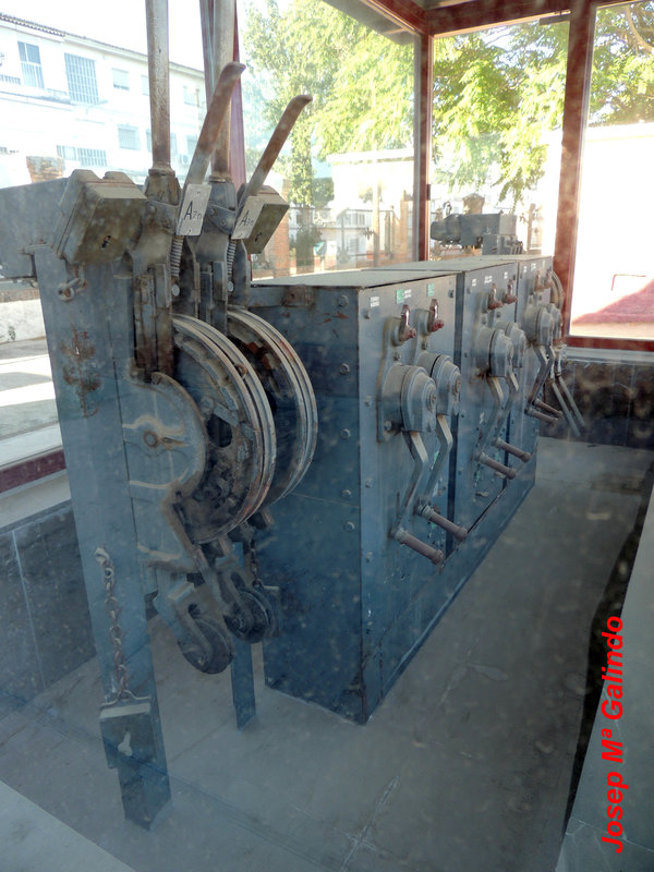 DSCN9010.jpg