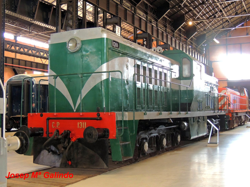 DSCN7428.jpg