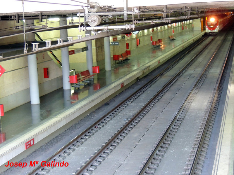 DSCN9334.jpg