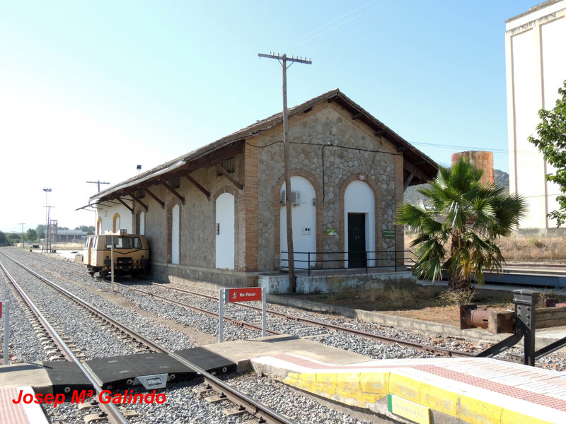 DSCN6313.jpg