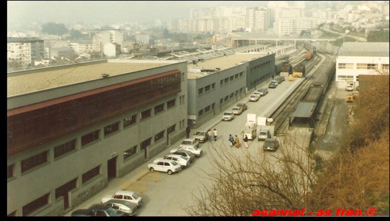 Vigo_Asannei17291315052o.jpg
