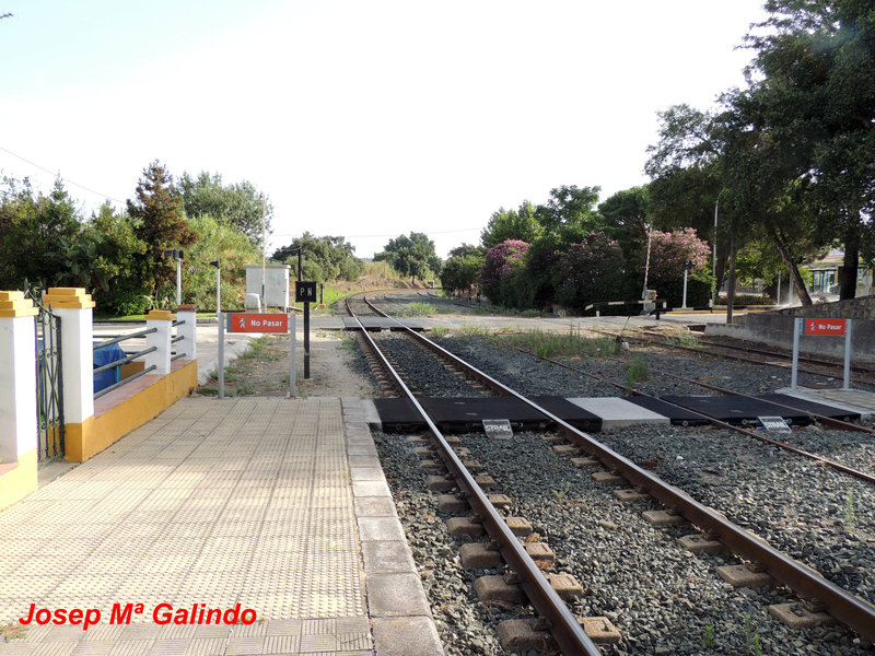 DSCN9361.jpg
