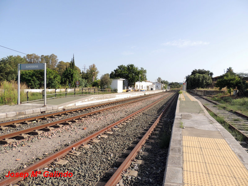 DSCN9365.jpg