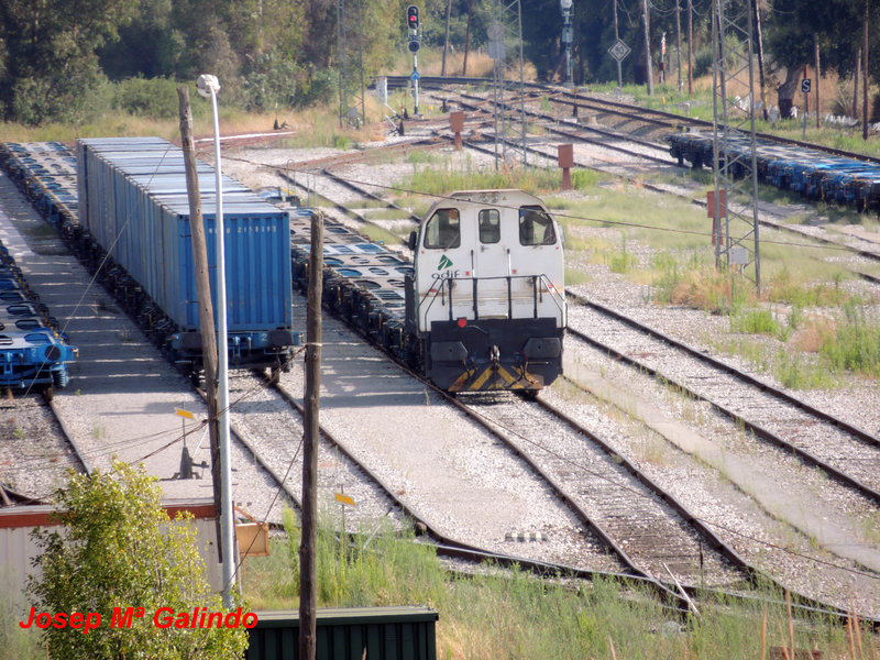 DSCN9372.jpg
