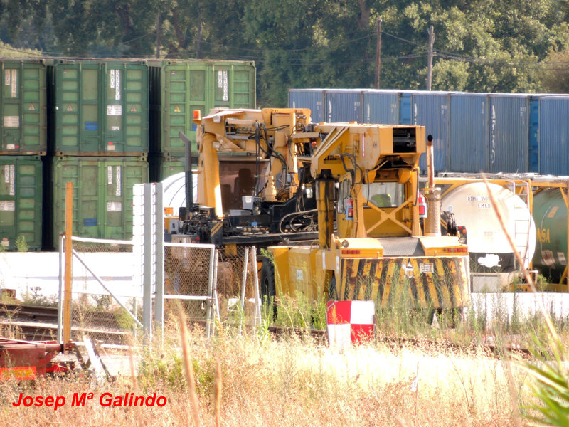 DSCN9378.jpg