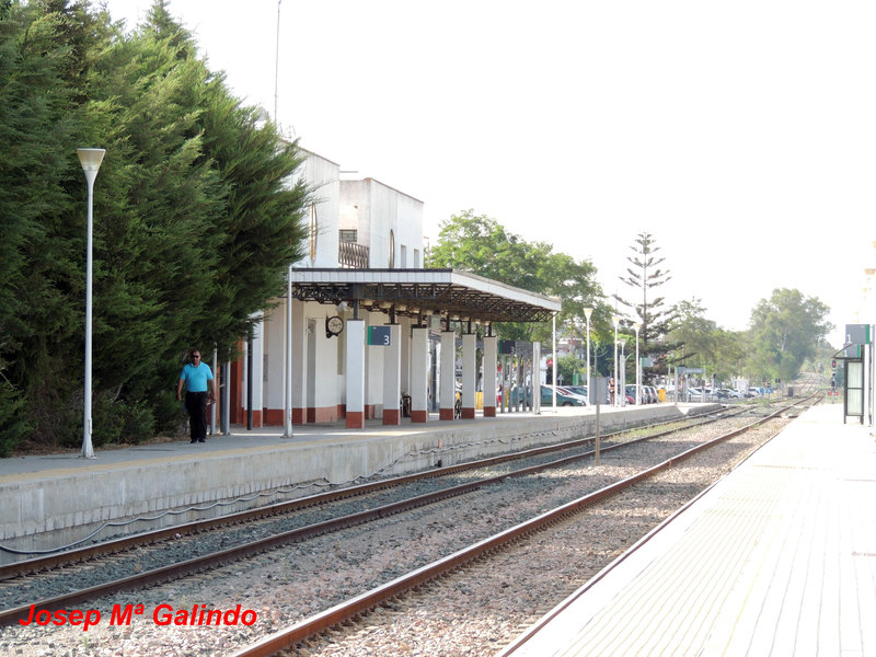 DSCN9385.jpg