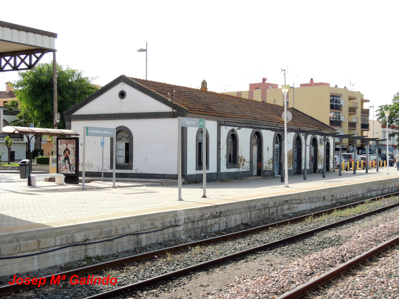 DSCN9387.jpg