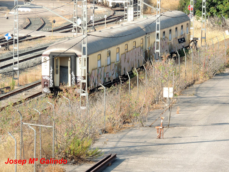 DSCN9491.jpg