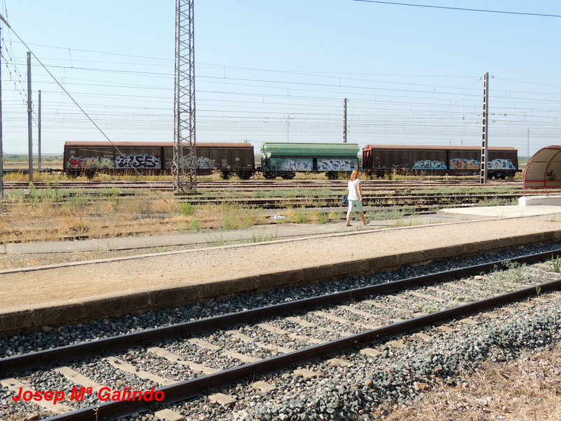 DSCN9523.jpg