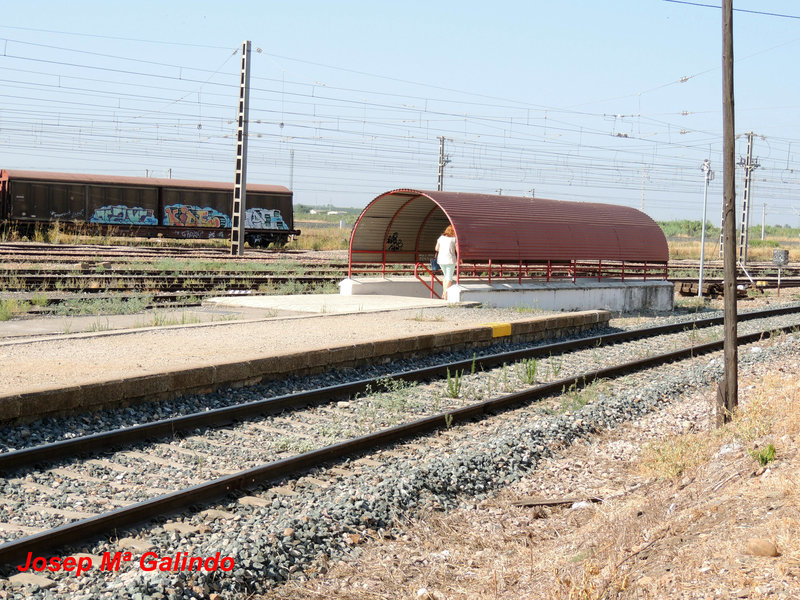 DSCN9524.jpg