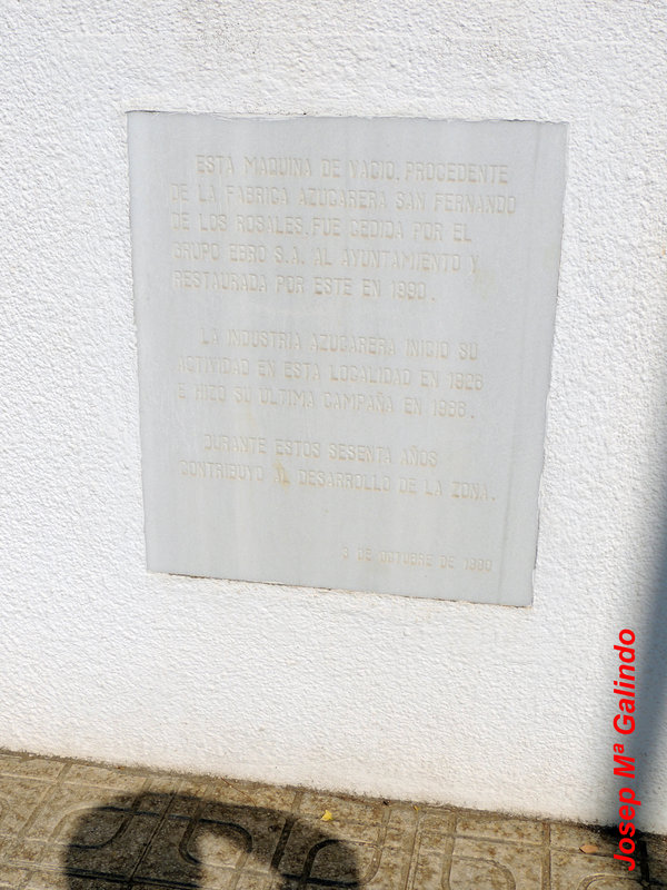 DSCN9534.jpg