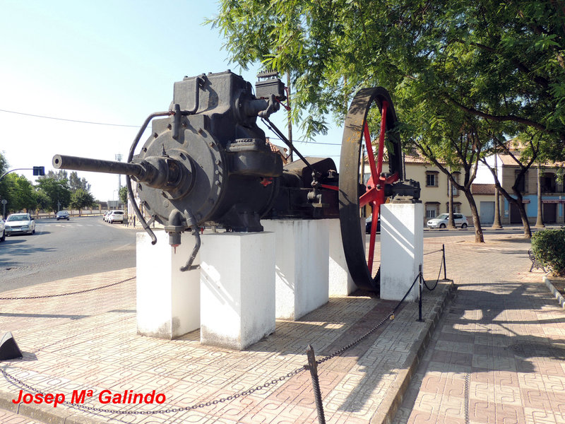 DSCN9536.jpg