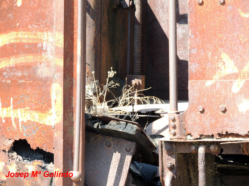 DSCN9557.jpg