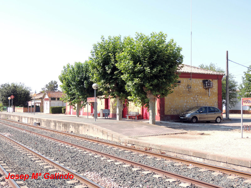 DSCN9558.jpg