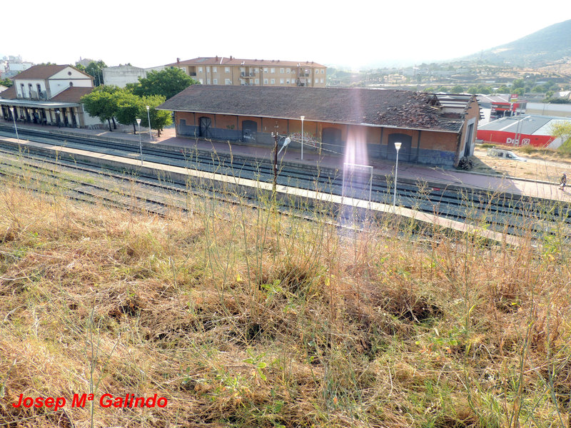 DSCN9724.jpg