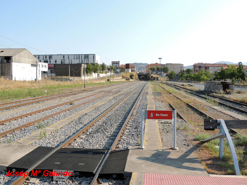 DSCN9736.jpg
