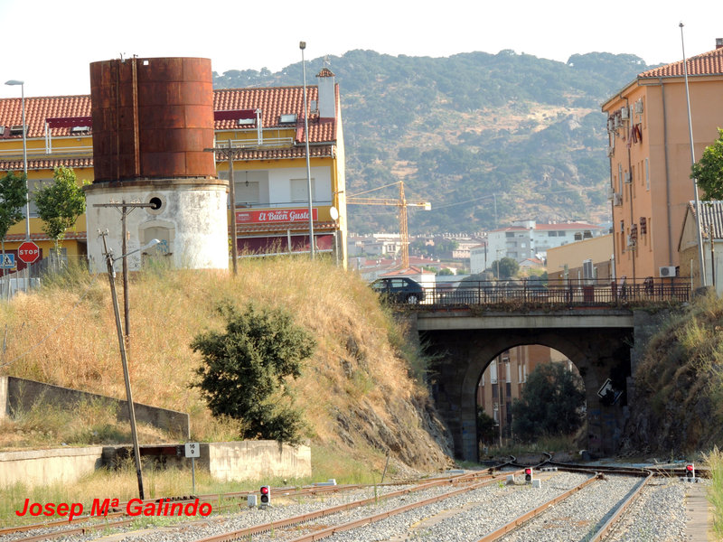 DSCN9749.jpg