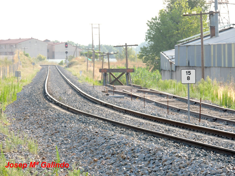 DSCN9726.jpg