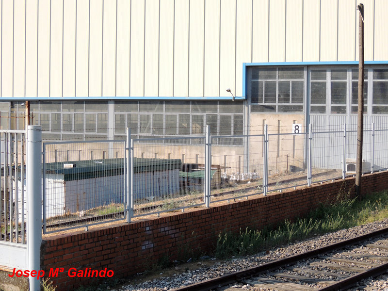 DSCN9727.jpg